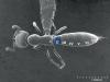  Adetomyrma venatrix / Scanning Electron Micrograph, Roberto Keller/AMNHAdetomyrma venatrix Ward, 1994 — dracula ant, муравей-дракула