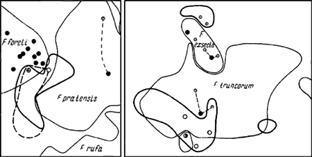 Рис. 74. Взаимное расположение кормовых участков разных видов Formica (изображены те же участки, что и на рис.76, рис.77)
 1—3 — границы кормовых участков: 1 — F. fusca, 2 — F. rufibarbis, 3 — других видов; 4 —7 — гнезда: 4 — F. fusca, 5 — F. rufibarbis, 6 — F. pressilabris, 7 — других видов; 8 — тропы и деревья с тлями