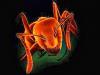 Глобальное потепление может спровоцировать новую неожиданную угрозу со стороны мира насекомых - появление огромного количества муравьев (фото с сайта newsru.com)