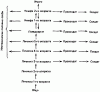 Рис. 73. Возможные пути онтогенетического развития у Calotermes flavicollis. Каждая стрелка соответствует одной линьке; пунктирная стрелка означает варьирующее число линек. (Liischer, 1976.)Онтогенез(rp. ontos - сущее, существо) - индивидуальное развитие организма с момента зарождения до смерти. 