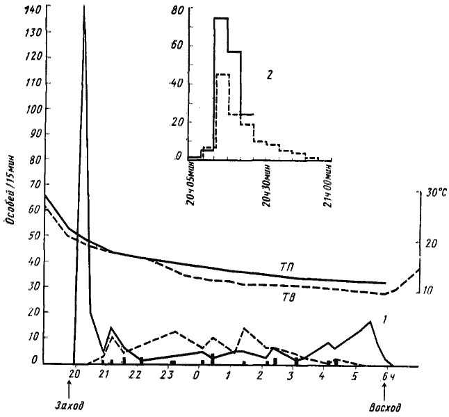 Рис. 40. Суточная динамика фуражировочной активности Camponotus xerxes
(Акыбай, 10—11 мая 1971 г., гнездо № 71-31)
1 — суточная динамика активности 10—11 мая (обозначения, как на рис.38); 2 — развертка динамики первого выхода вечером 11 мая. Сплошная линия — число особей, вышедших из гнезда; пунктир — число особей, поднявшихся на саксаул с колониями тлей и червецов. Замеры по 5 мин, подсчет велся непрерывно. Выход из гнезда кончился в 20 ч 50 мин, а подъем на дерево — в 20 ч 55 мин. В 21 ч 00 мин начали возвращаться первые трофобионты. Всего за это время из гнезда вышла 131 особь, в том числе 97 трофобионтов