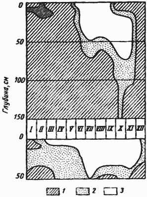 Рис. 49. Динамика среднемноголетней влажности по категориям ее доступности на мелкобугристом песке (вверху) и на такыровидном участке (внизу) в Каррыкуле (Центральные Каракумы)
(по [Аранбаев, Михайлова, 1970], упрощено)
1 — выше ВЗ (влажность завядания); 2 — между ВЗ н МГ (максимальная гигроскопичность); 3 — ниже МГ 